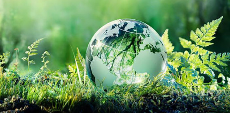Σάββατο 5 Ιουνίου 2021: Παγκόσμια Ημέρα Περιβάλλοντος