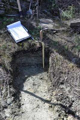 Soil section on sampling plot X01 | Photo Archive EKBY / P. Kakouros