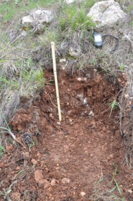 Soil section on sampling plot X07 | Photo Archive EKBY / P. Kakouros