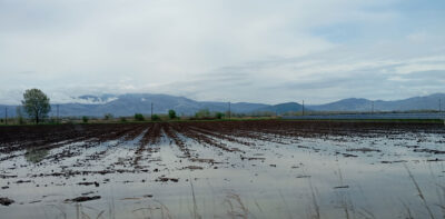 Πλημμυρισμένα χωράφια στο τυρφώνα των Φιλίππων | Φωτ. Αρχείο ΕΚΒΥ / Α. Χατζημέντωρ