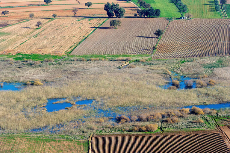 Coastal marshes surrounded by agricultural land in Araxos Lagoon of Kotychi-Strofylia National Park, Greece | Photo Archive EKBY / L. Logothetis