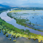 The inner delta of river Strymon in the National Park of Lake Kerkini