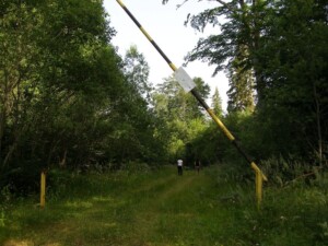 Παρθένο δάσος Ροδόπης, Θράκη - Φωτ. Αρχείο ΕΚΒΥ / Μ. Κατσακιώρη