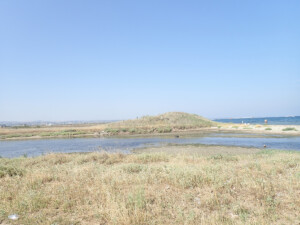 Coastal zone of the wetland ecosystem | Photo EKBY archive