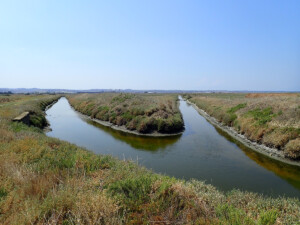 Drainage ditches | Photo EKBY archive