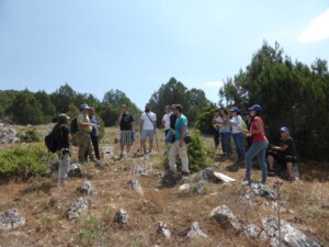 LIFE JunEx Summer School στις Πρέσπες | Φωτ. Αρχείο ΕΚΒΥ / Φωτ. Ειρήνη Κουτσερή