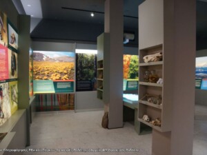 Κέντρο Πληροφόρησης Εθνικού Πάρκου Οροσειράς Ροδόπης / Αρχείο ΦΔ | Φωτ. Αρχείο ΕΚΒΥΟροσειράς Ροδόπης