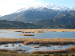 Λίμνη Στυμφαλία | Φωτ. Αρχείο ΕΚΒΥ