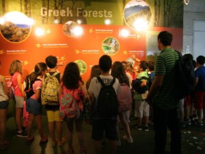 Ξενάγηση μαθητών στην Έκθεση "Greek Forests Green Destinations" στον Διεθνή Αερολιμένα Αθηνών | Φωτ. Αρχείο ΕΚΒΥ