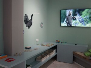 Παιδική γωνιά στο Κέντρο Πληροφόρησης Εθνικού Πάρκου Οροσειράς Ροδόπης | Φωτ. Αρχείο ΕΚΒΥ