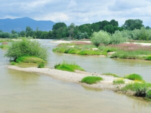 Ποταμός Νέστος | Φωτ. Αρχείο ΕΚΒΥ / Λ. Λογοθέτης