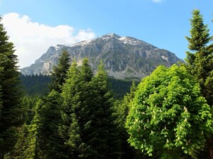 Τζουμέρκα / Θ. Ταγδαλίδης